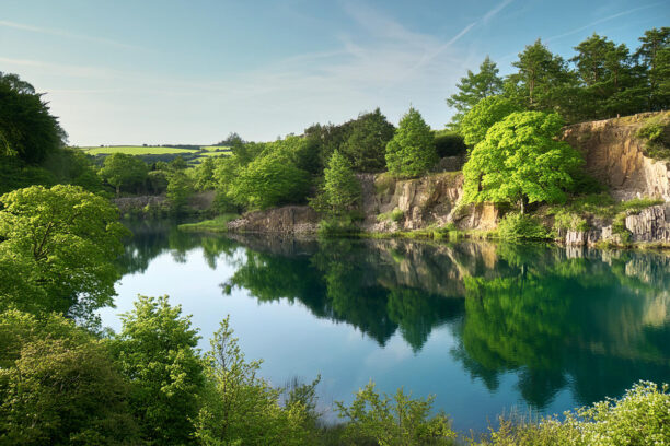 Reclaimed Quarry With Tree Planting and Vegetation